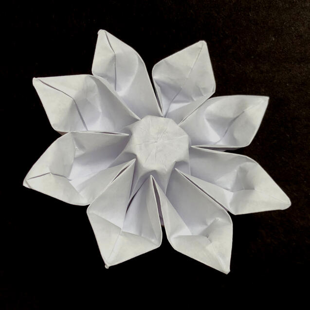Flower 2 Flower 2