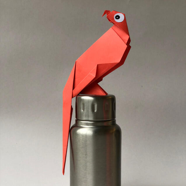 Parrot Parrot