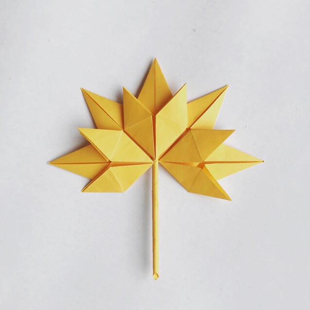 Maple leaf Maple leaf
