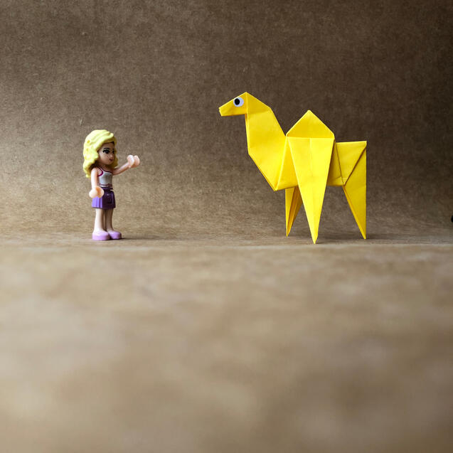 Camel Camel