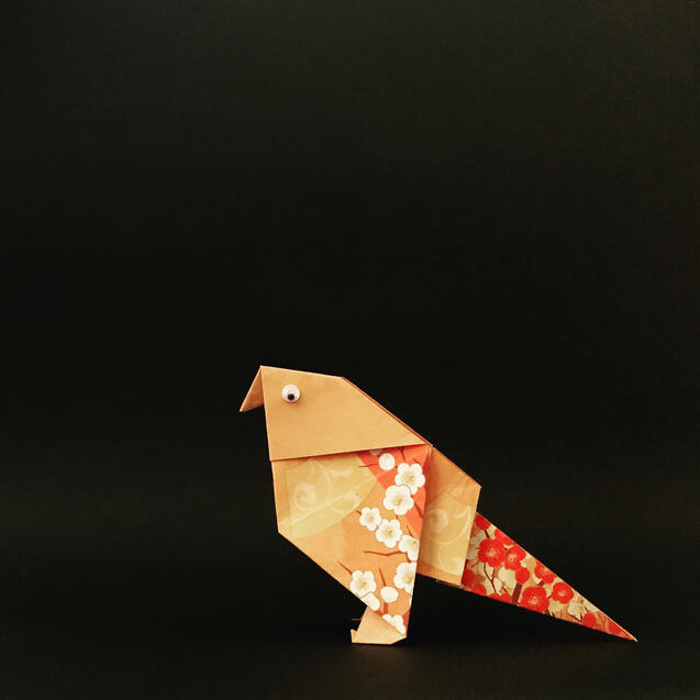 Sparrow Sparrow