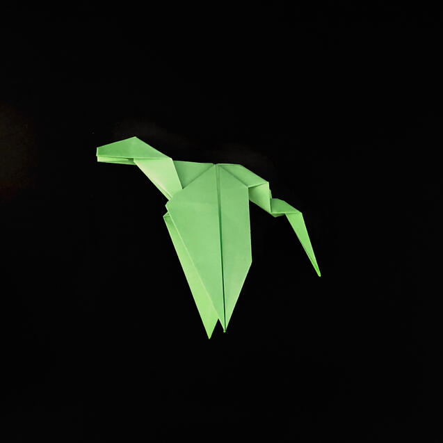 Dragon Dragon