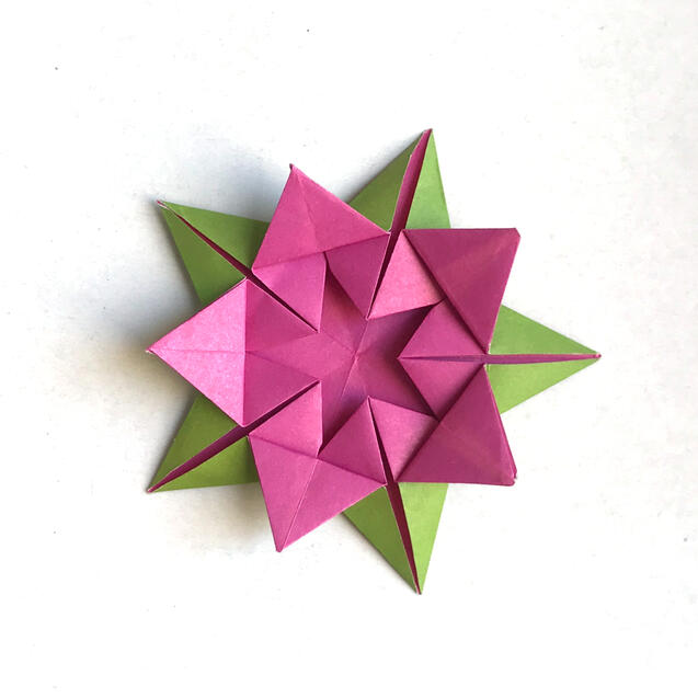 Star Lotus Star Lotus