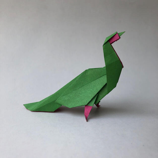 Peacock 2 Peacock 2