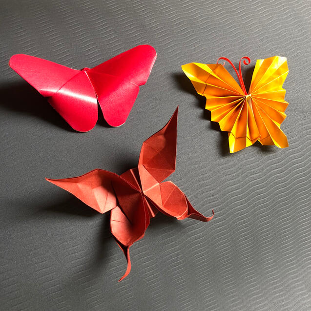 Butterflies Butterflies