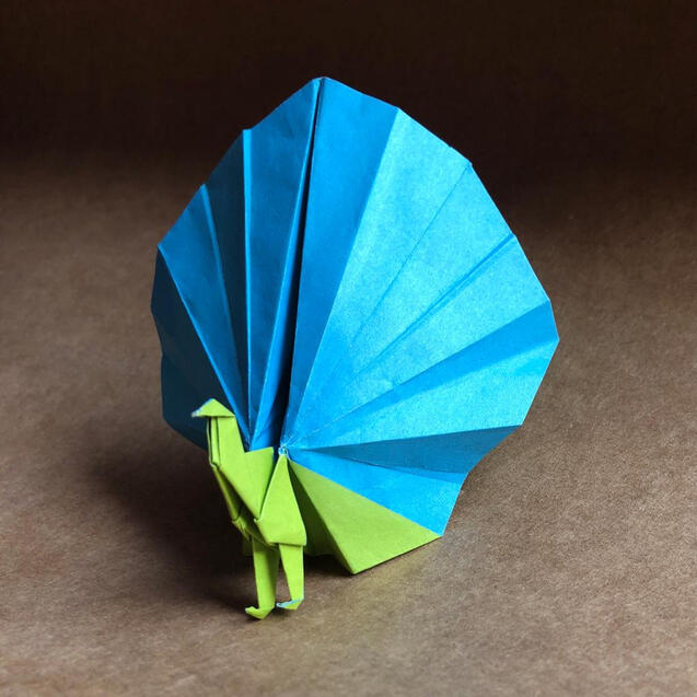Peacock 1