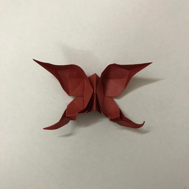 Butterfly 1 Butterfly 1