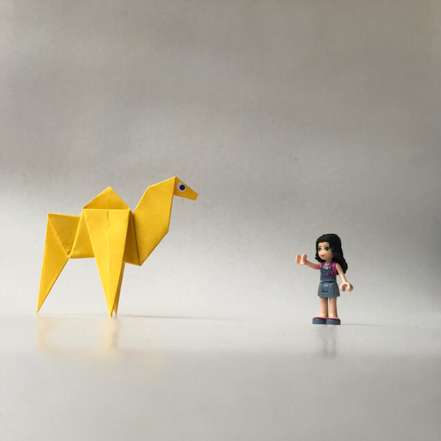 Camel Camel
