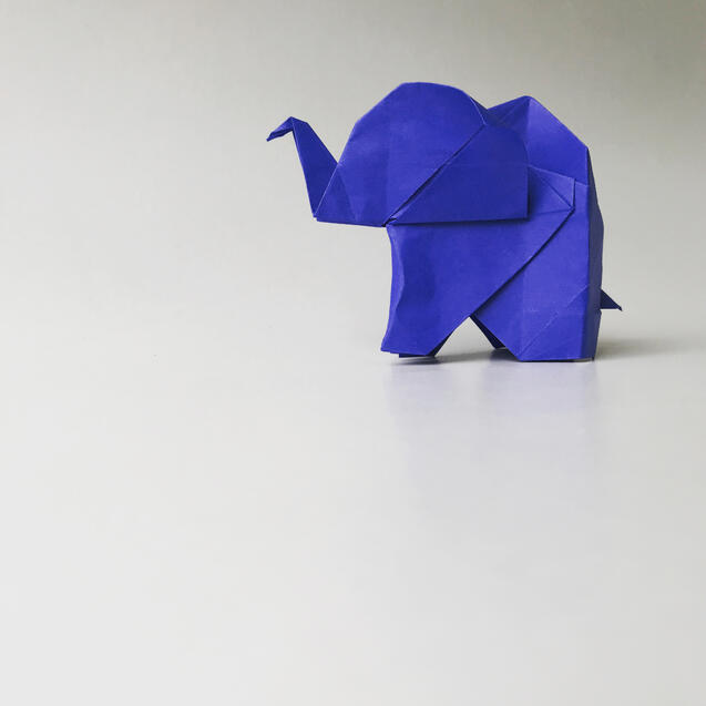Elephant Elephant
