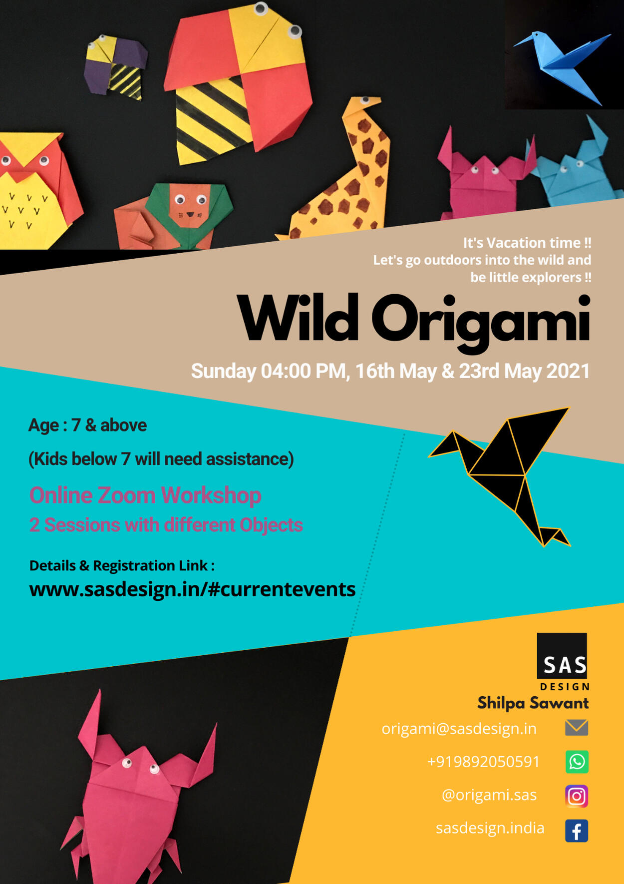 Wild Origami Wild Origami